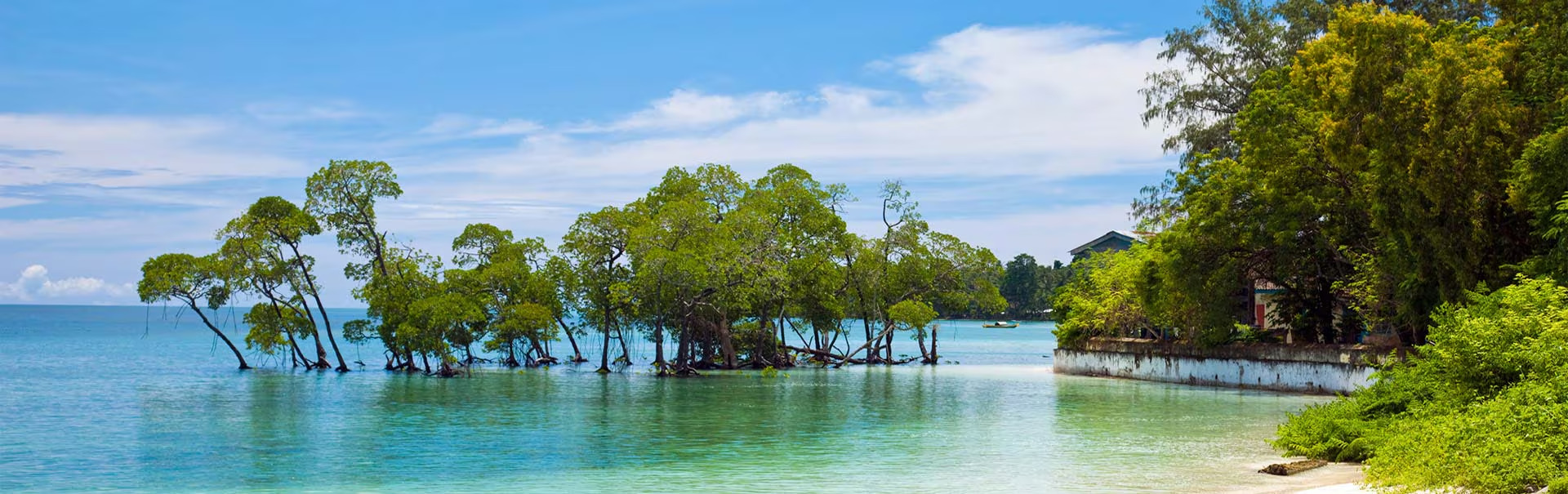 Andaman with Neil Island Banner