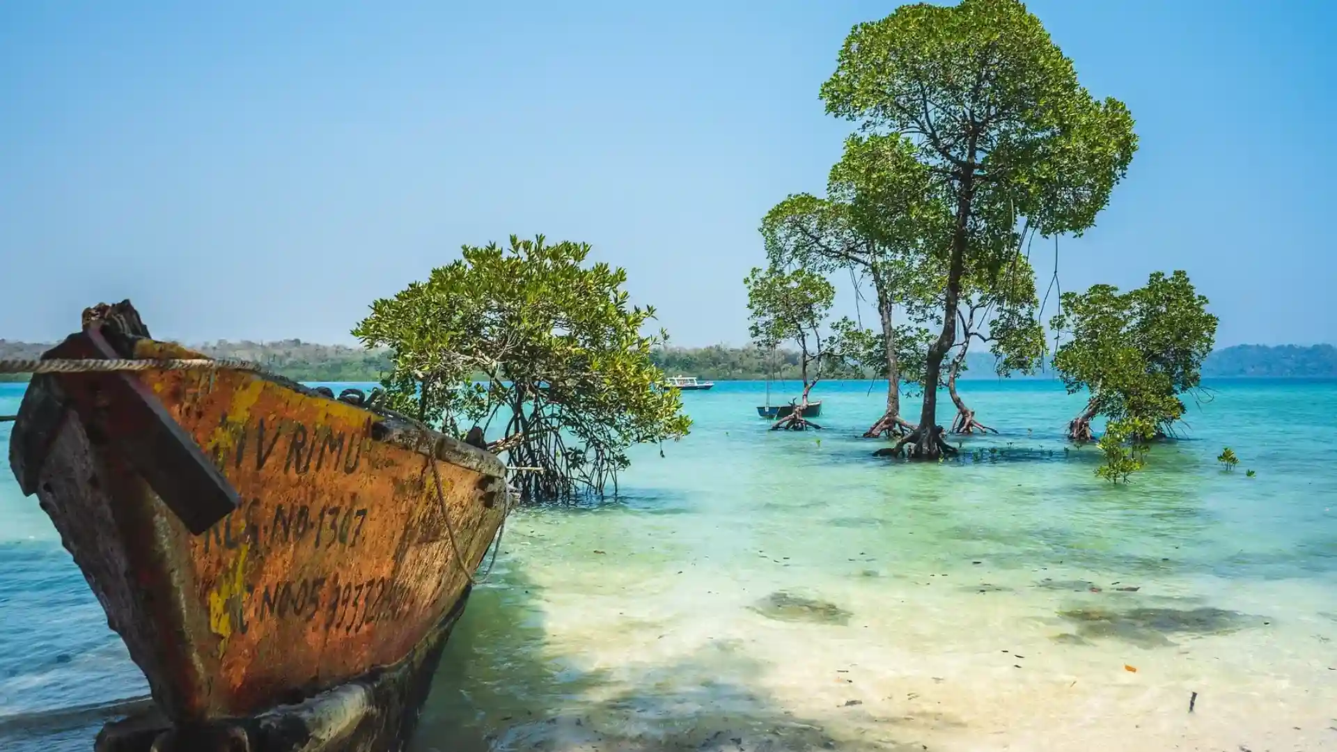 Notification Banner 2