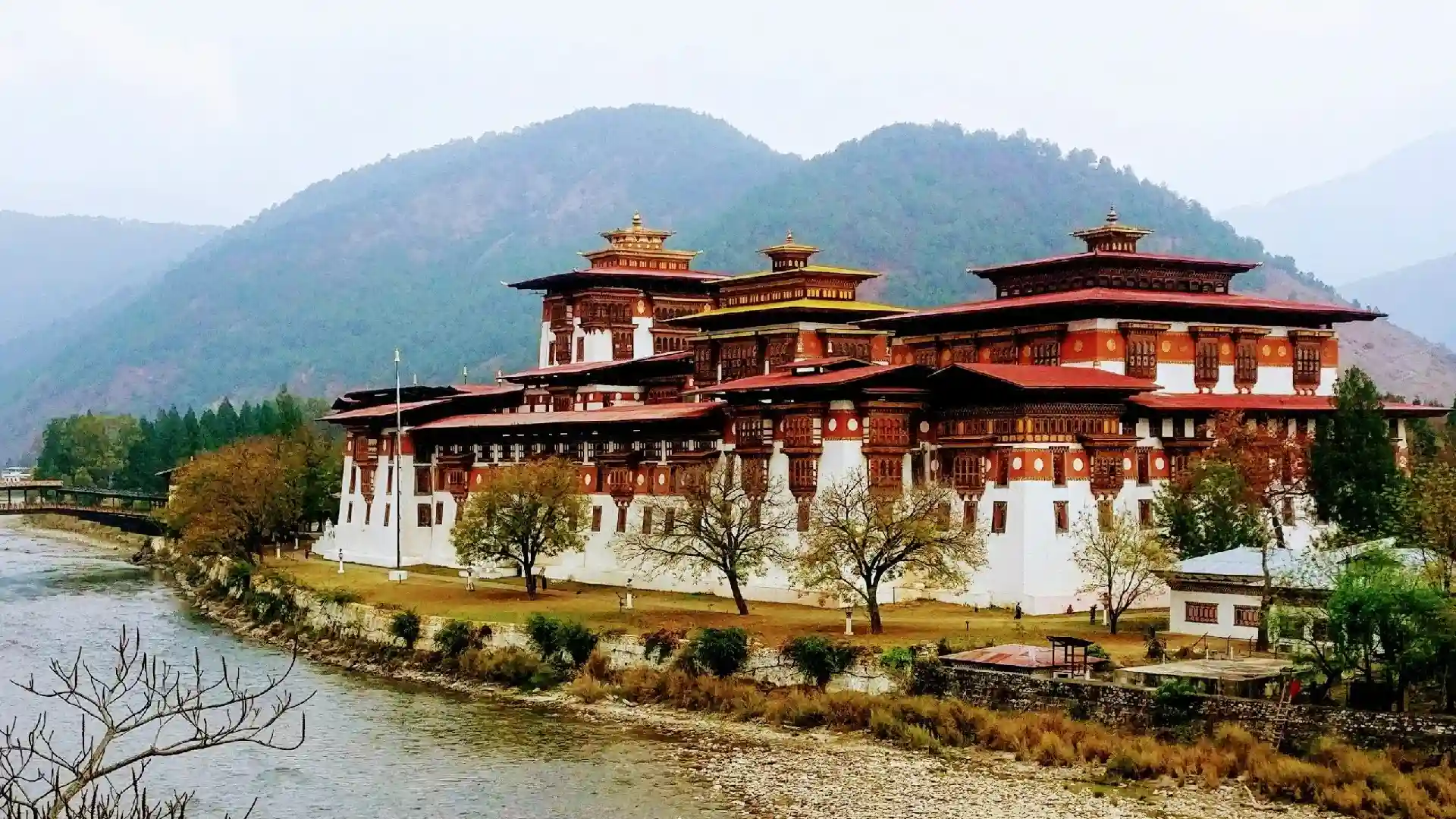 Notification Banner 1